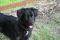 . Rex (I have a video) (Please read my profile carefully) .