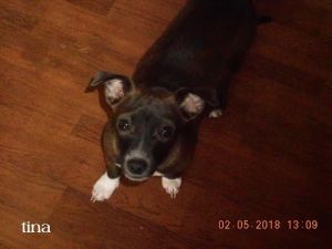 . Tina .