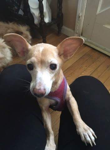 Photo of Roxy