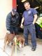 . Bear Grylls - my adoption fee is sponsored! .