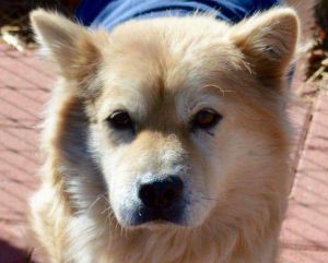 Photo of Fuzzy