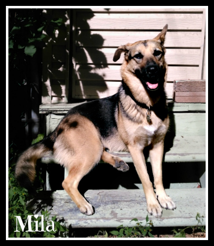 . Mila .