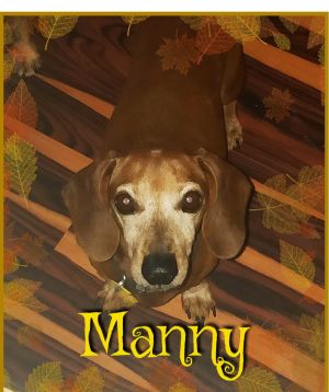 . Manny .