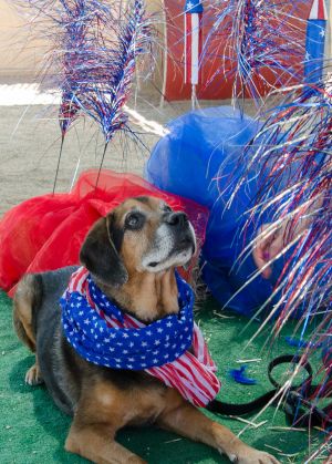 . WILBUR .