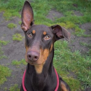 Photo of Gunter
