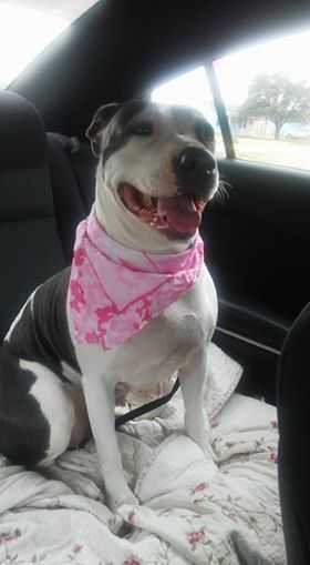 . Layla .