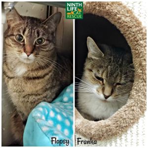 . Franka & Flopsy .