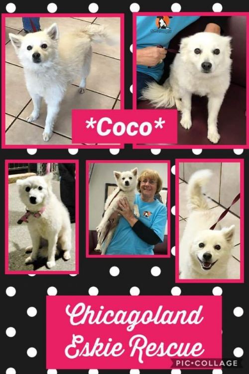 Coco