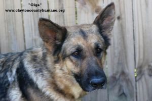 . Olga .