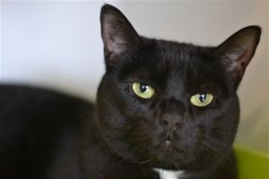. Sabrina .