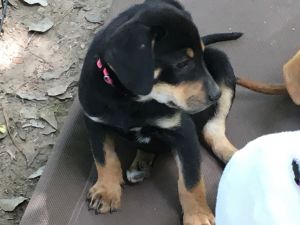 . Skye .