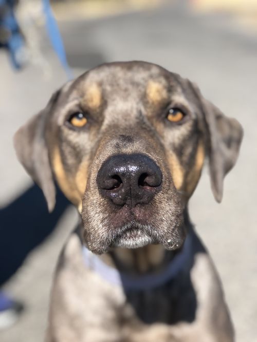 . MAX .