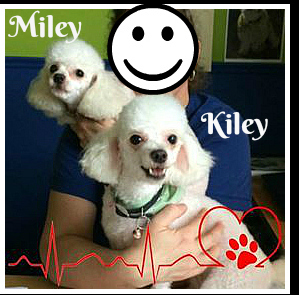 . Kiley and Miley (available separately) .