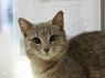 Lillyanne - MEET ME @ PETCO