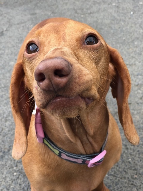. MILLIE .