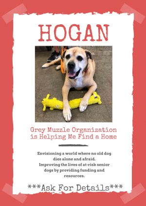 . HOGAN .
