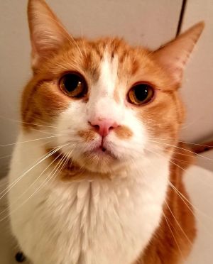 Redford