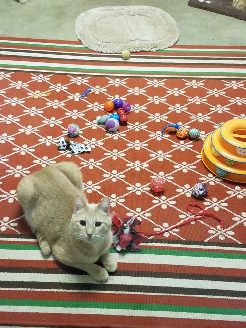 . Box .