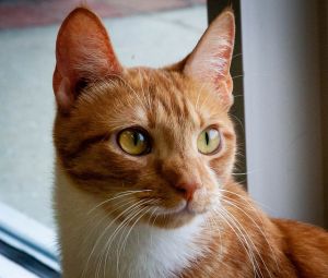 . Rusty .