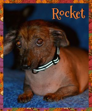 . Rocket .