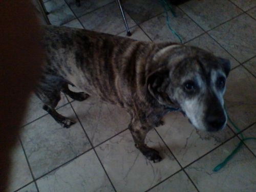 . Duke .