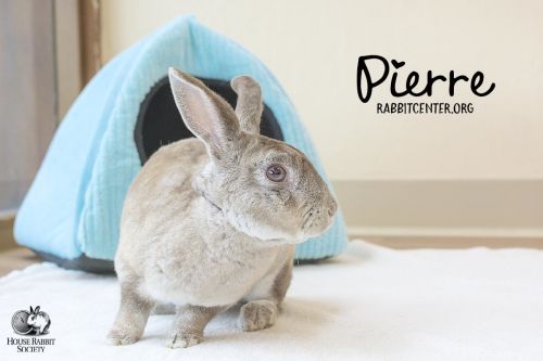 . Pierre .