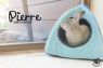 . Pierre .