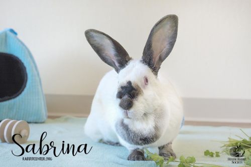 . Sabrina .