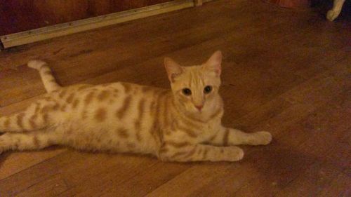 . Linus .