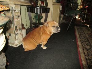 . Miss Daisy .