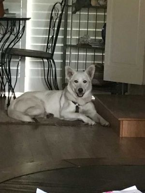 . Bella .