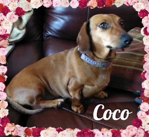 . Coco .