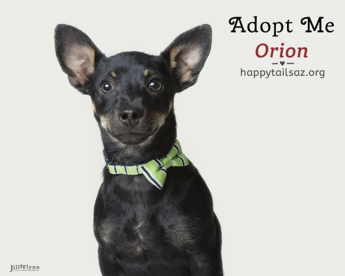 . Orion .