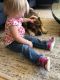 . Sapphire - My Adoption Fee is Sponsored! .