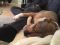 . Sapphire - My Adoption Fee is Sponsored! .