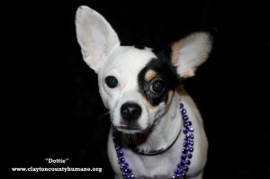 . Dottie .