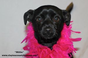 . Millie .