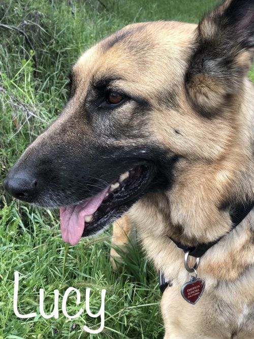 . LUCY .