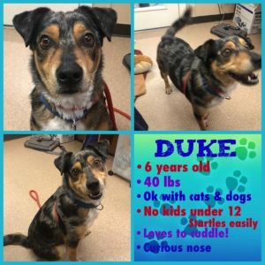 . Duke .