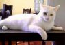 . CASPER (COURTESY POST) .