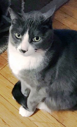 . Kitty .