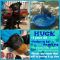 . Hucklefurry Finn .