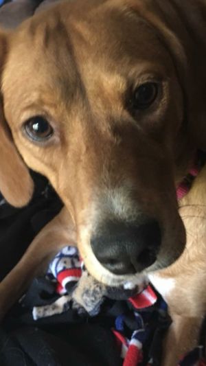 . Millie .