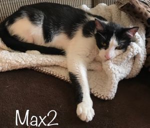 . Max .