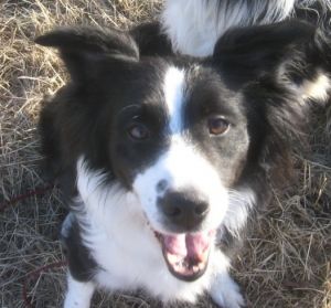 . ***COURTESY LISTING*** RUBY .