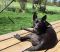 . ***COURTESY LISTING*** NUGGET .