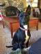 . ***COURTESY LISTING*** NUGGET .