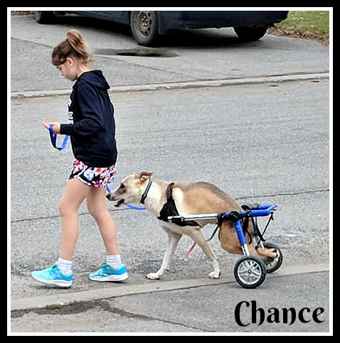 . Chance (special needs) .