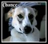 . Chance (special needs) .