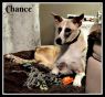 . Chance (special needs) .